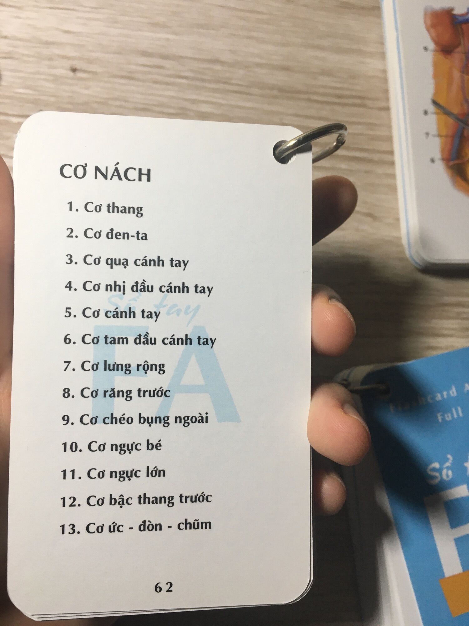 Combo sổ tay FA//Combo flashcardanatomy tiếng Việt