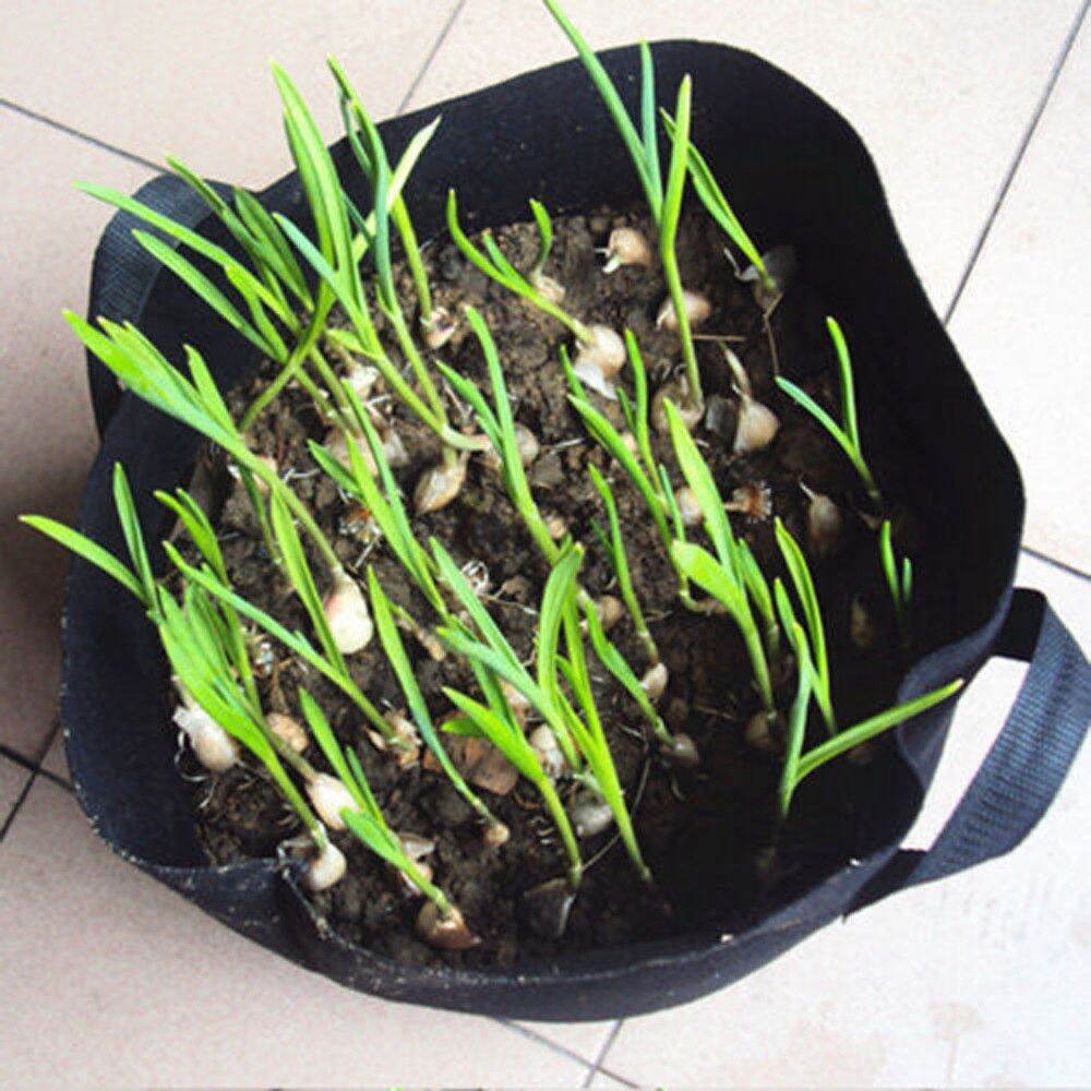 10 chậu vải trồng cây đen 40x30cm