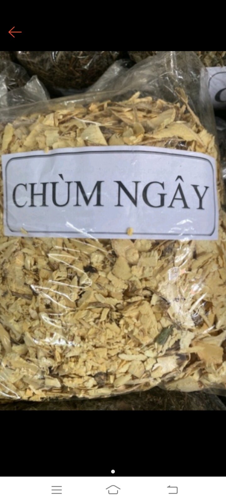 1 kg chùm ngây khô