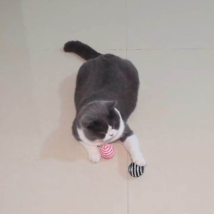 Banh Cói Đồ Chơi Cho Mèo - 4.3cm