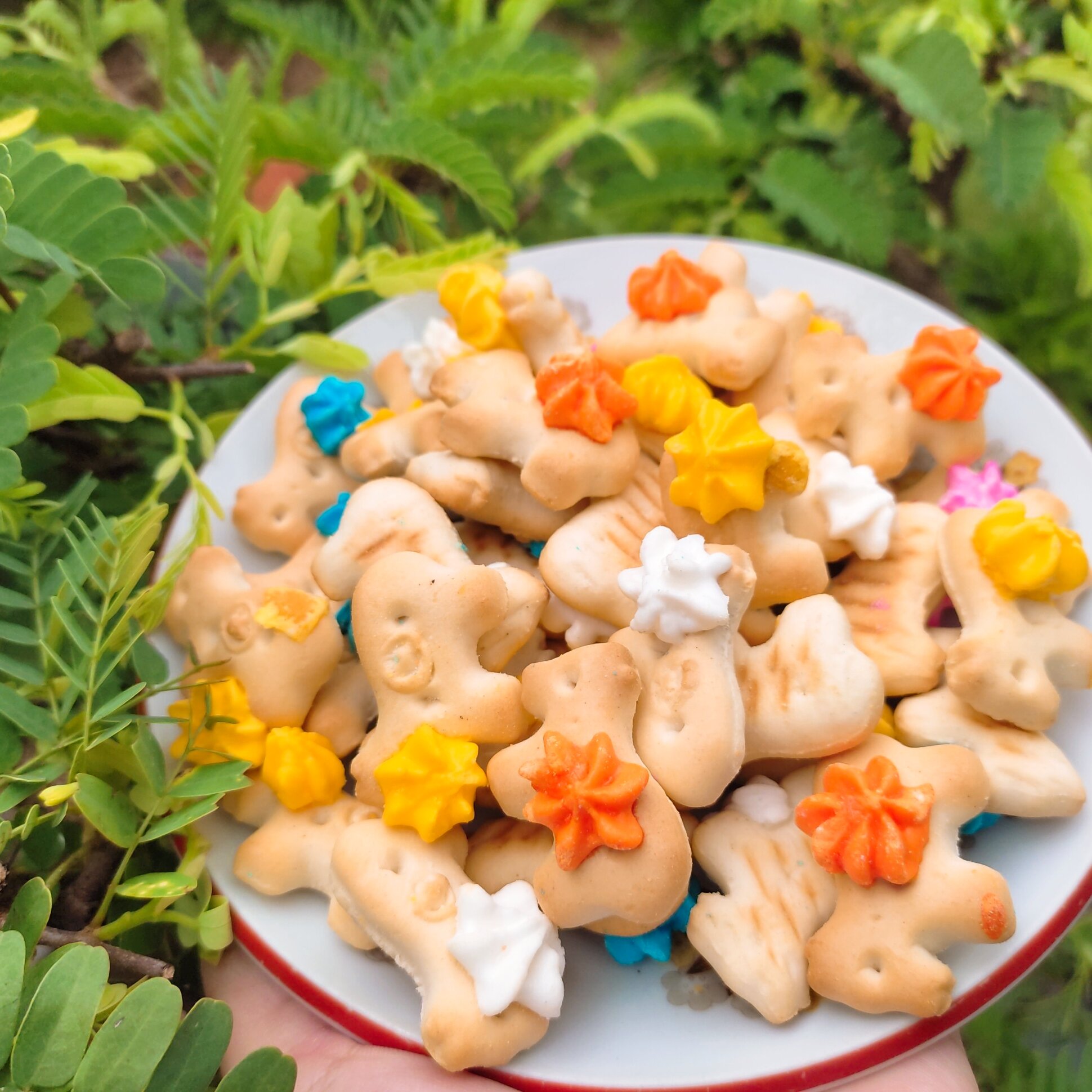 Bánh ngựa bông tuổi thơ 500g