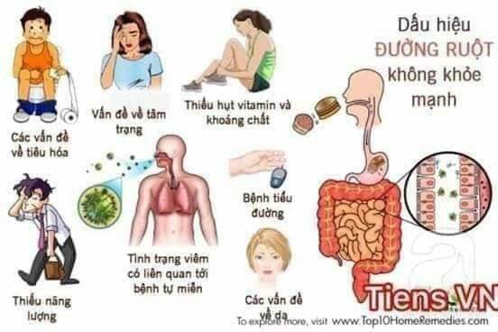 Xơ Prebiotic( Bổ Sung Lợi Khuảnea Cải Thiện Táo Bón Giúp Hâp Thu Canxicải Thuện Đại Tràng Dạ Dày...)