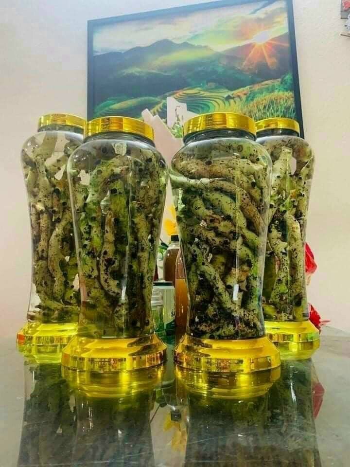Cốt toái bổ tươi (1kg 40k, shop bán từ 3kg)