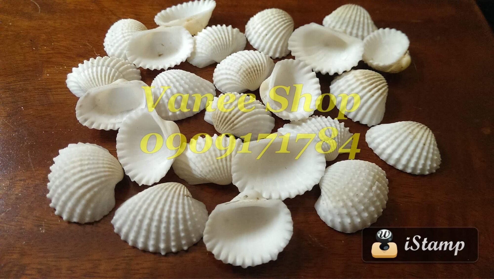 Vỏ sò huyết trắng 100gr
