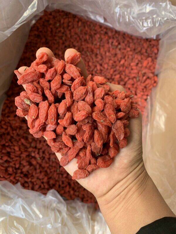 1kg hạt kỷ tử