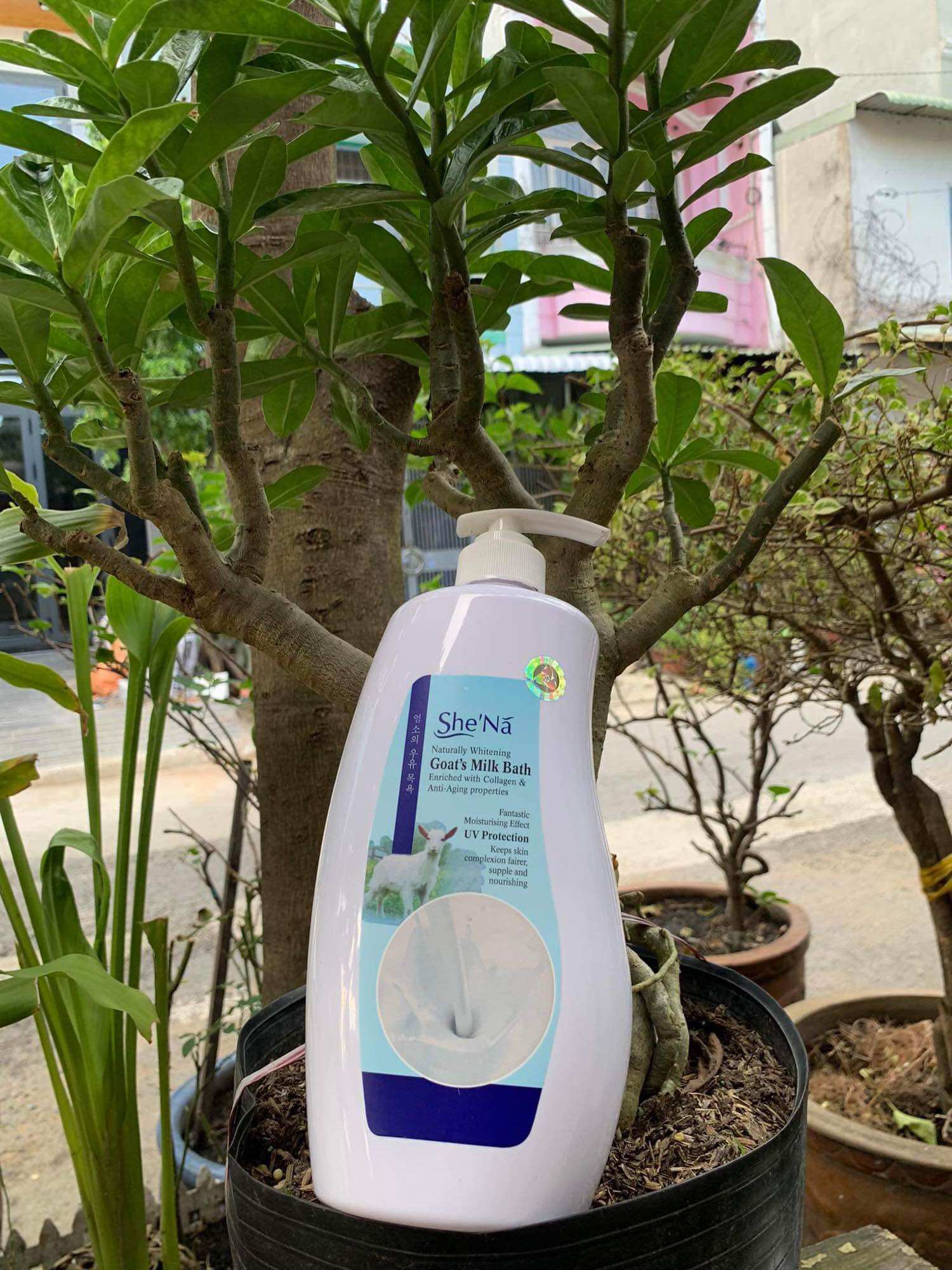 SỮA TẮM SHENA 1200ML - MALAYSIA