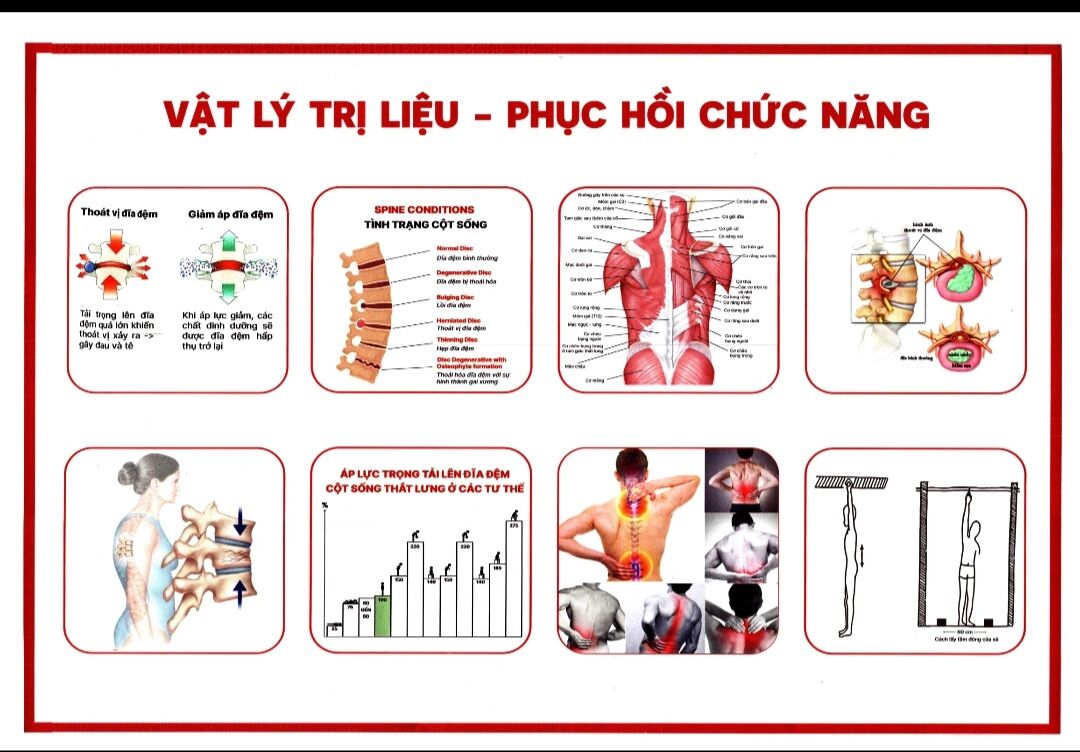 Tranh giải phẫu tổng hợp