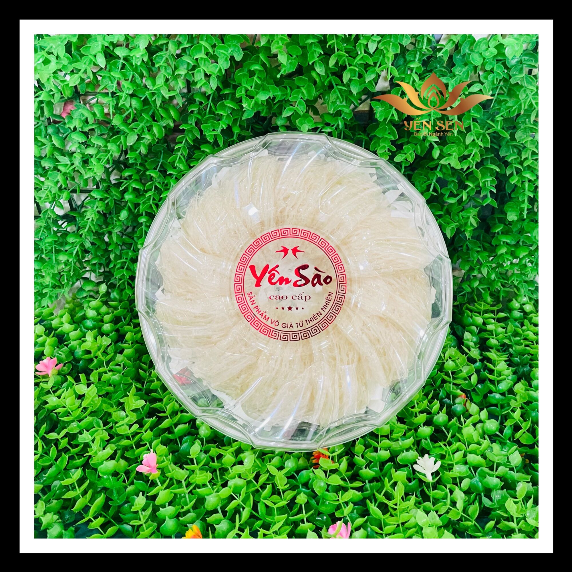 Set Tem yến sào cao cấp ép kim