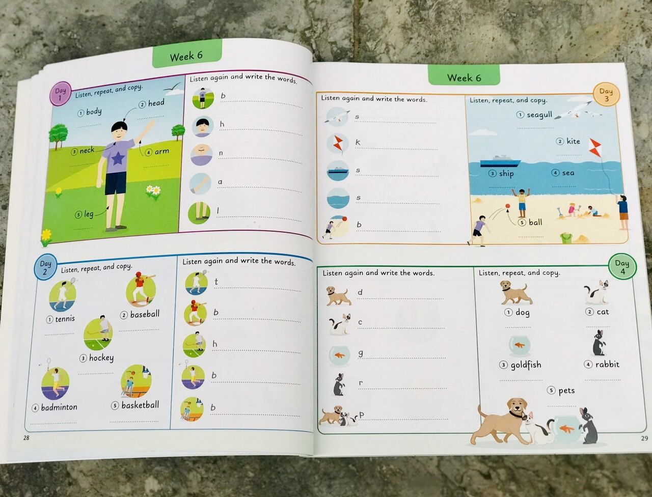 SÁCH - English For Everyone Junior, 5 words aday - tặng mp3