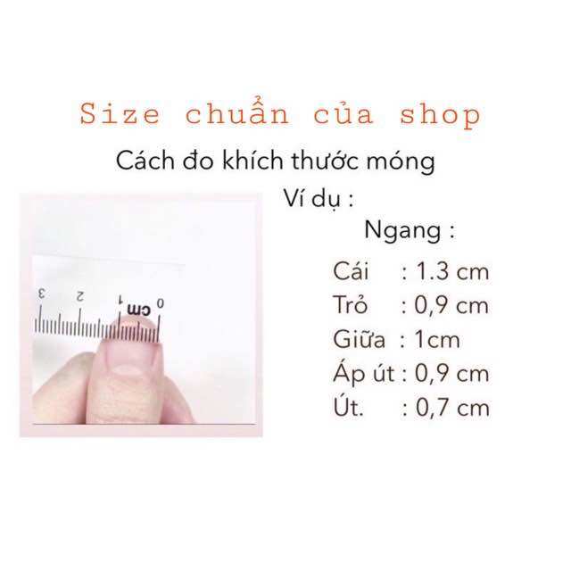 Nail box thiết kế giá rẻ