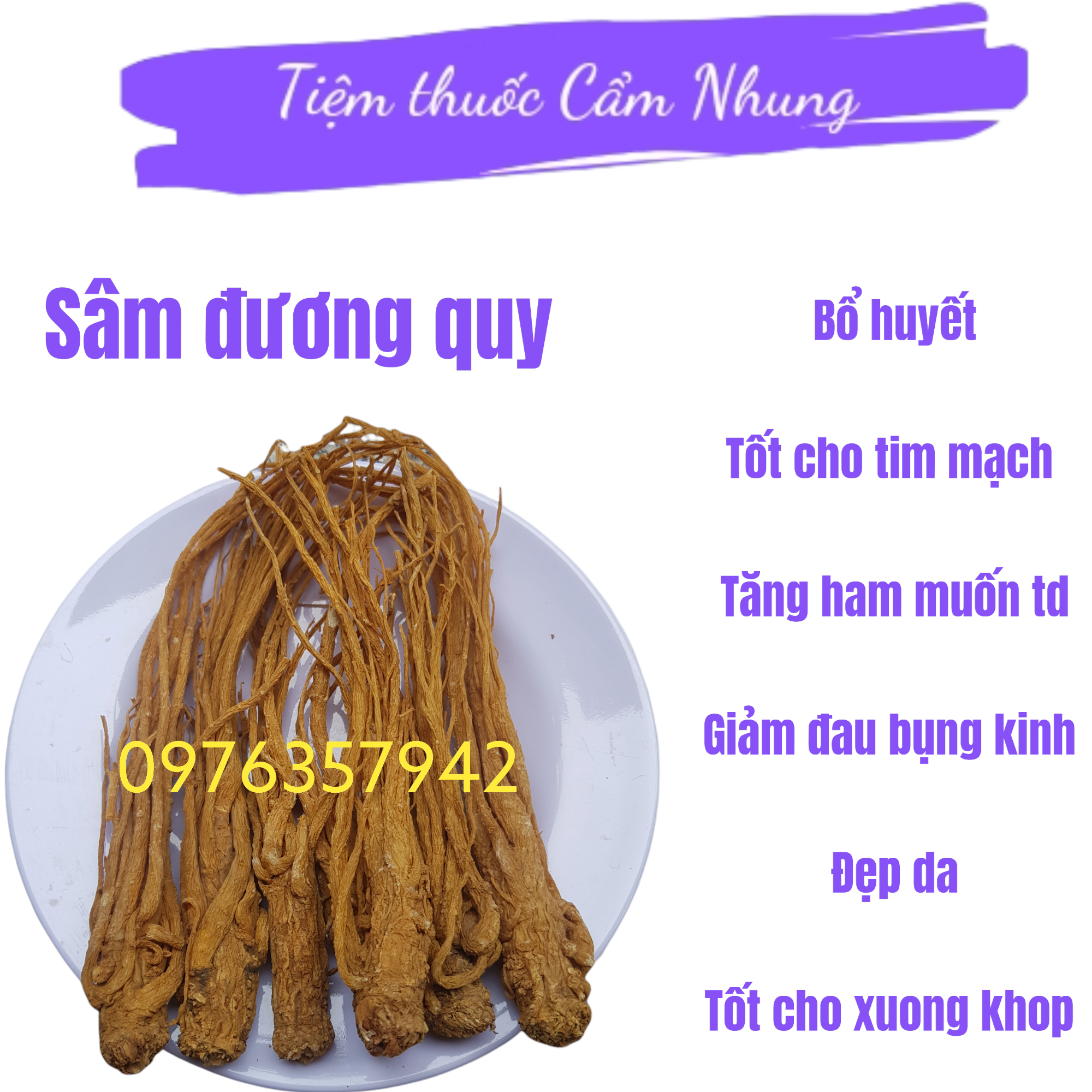 100gr sâm đương quy ngâm rịu