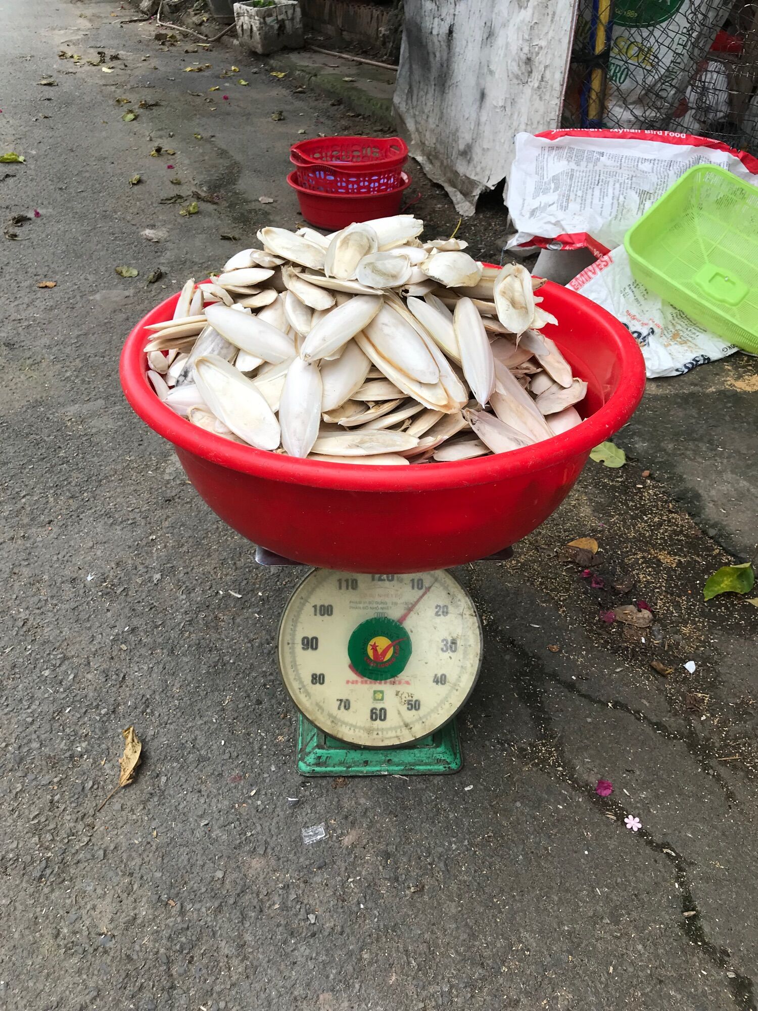 Nang mực gói 100g