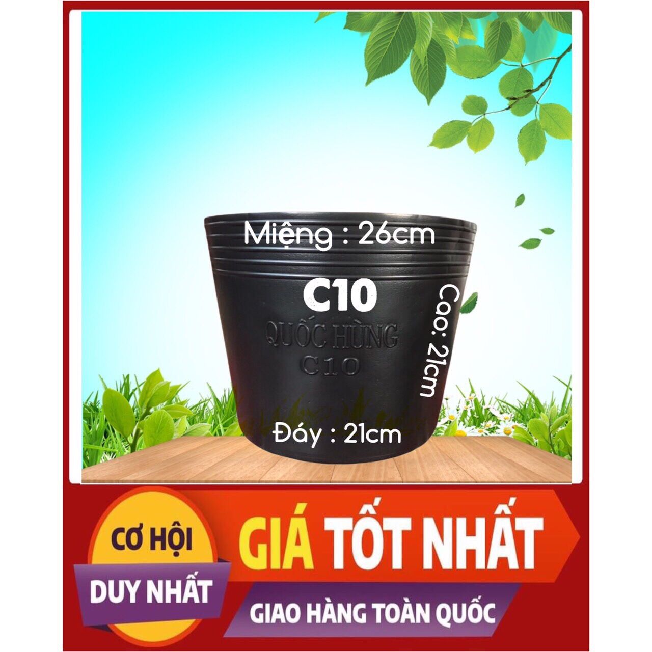 Combo 10 chậu c10 trồng cây