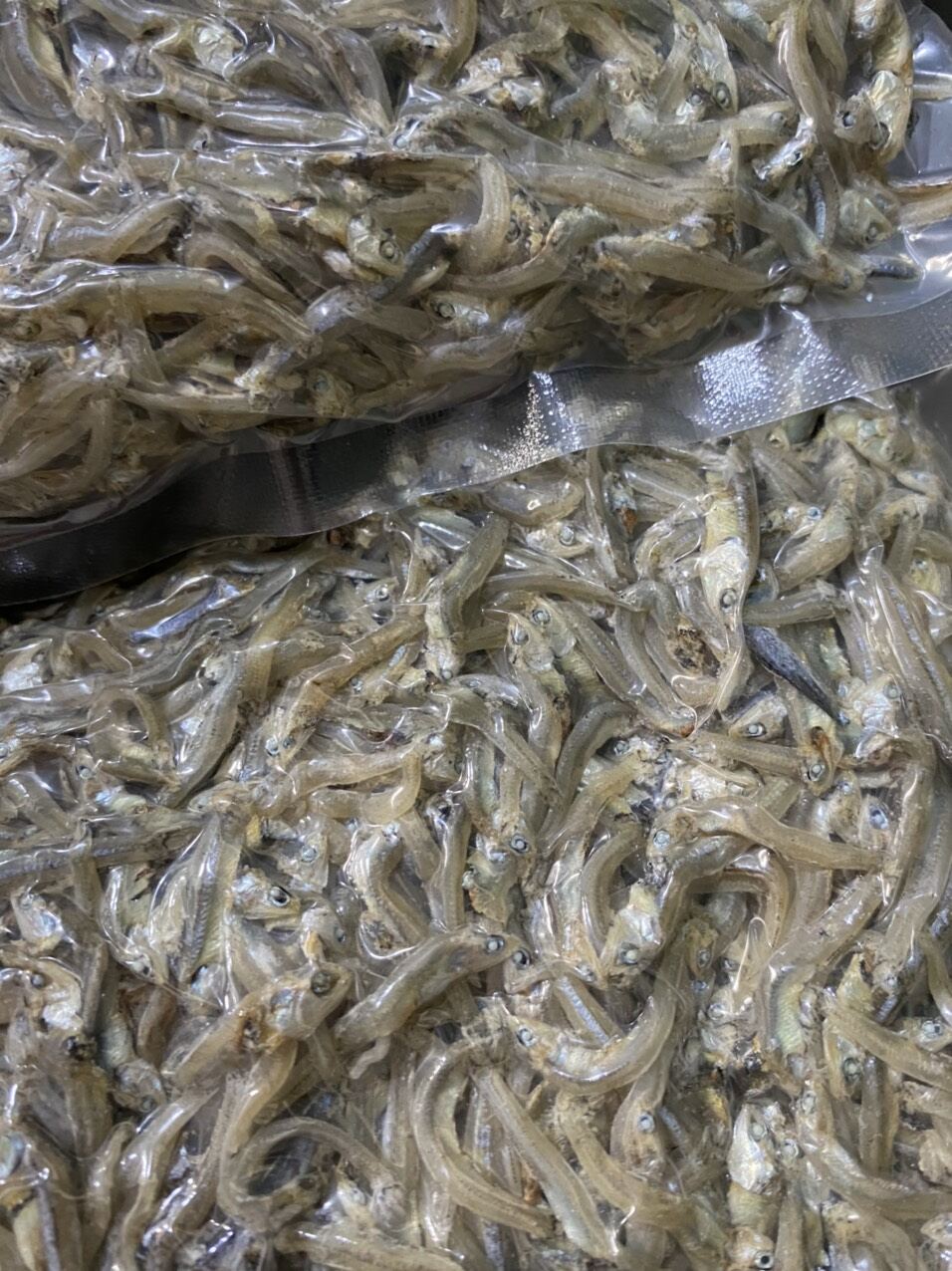 0,5kg khô cá cơm/cá cơm khô xuất khẩu