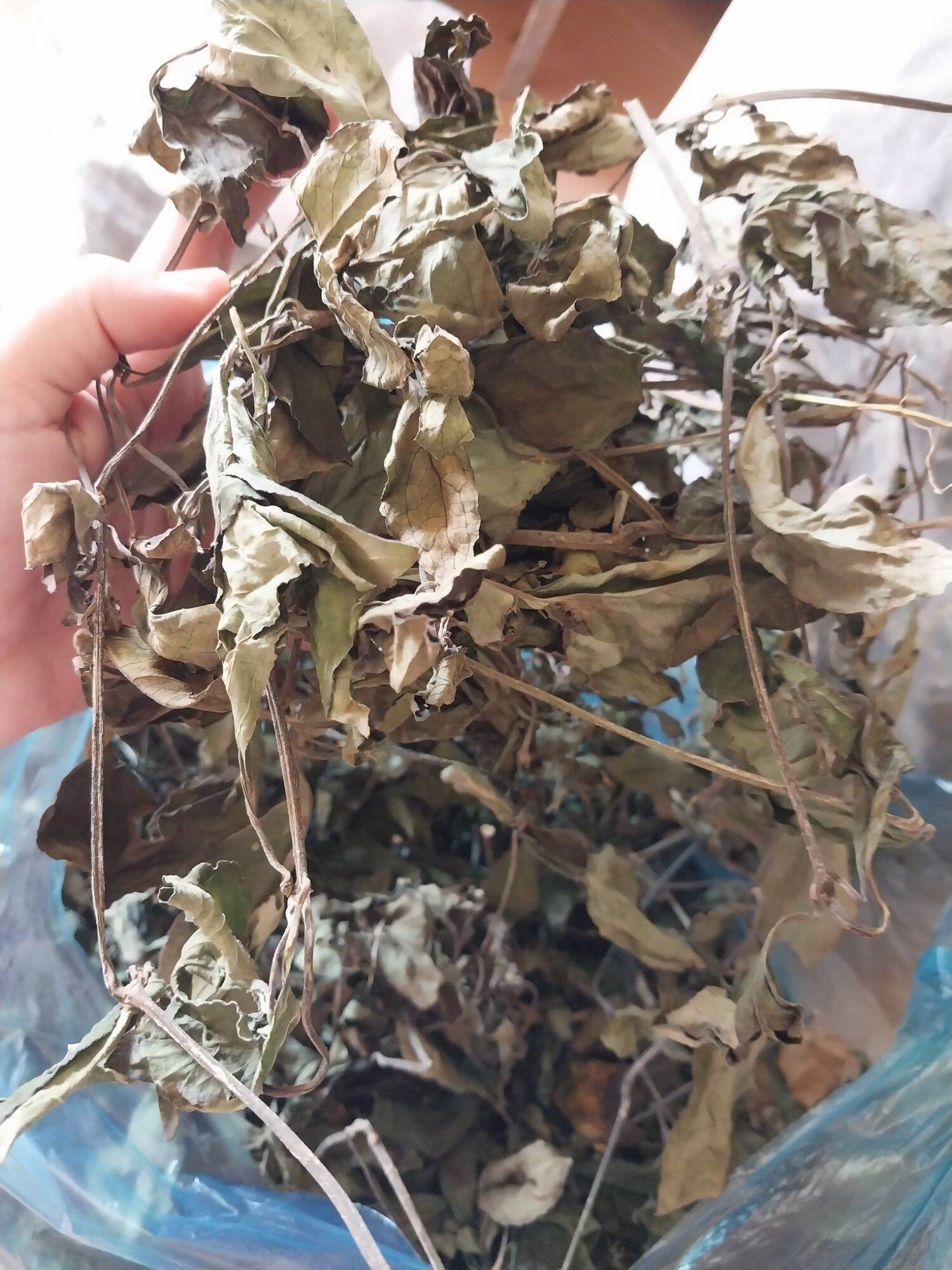 200G LÁ TRÀ TIÊN KHÔ