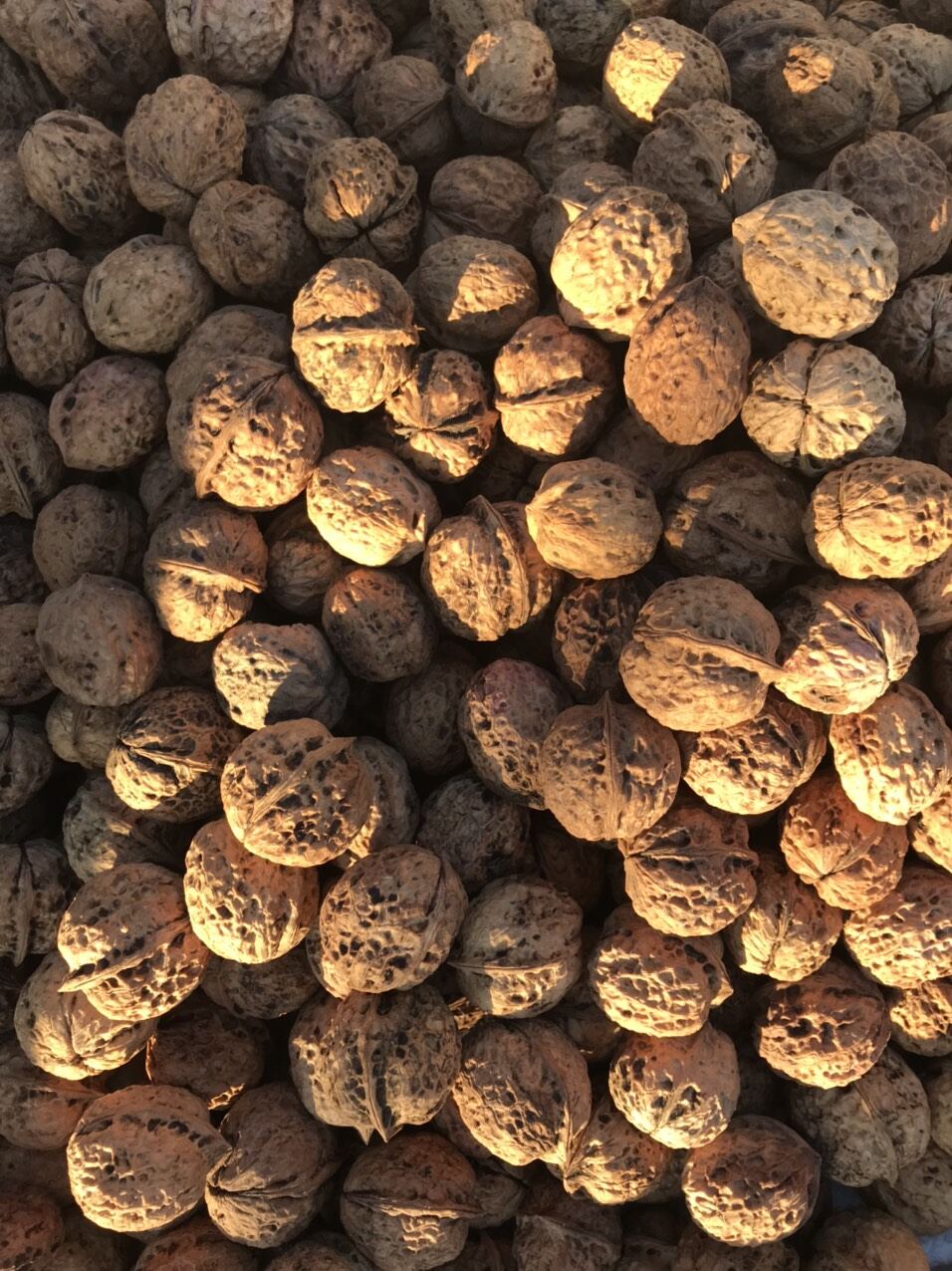 1kg quả óc chó đặc sản Sìn Hồ Lai Châu