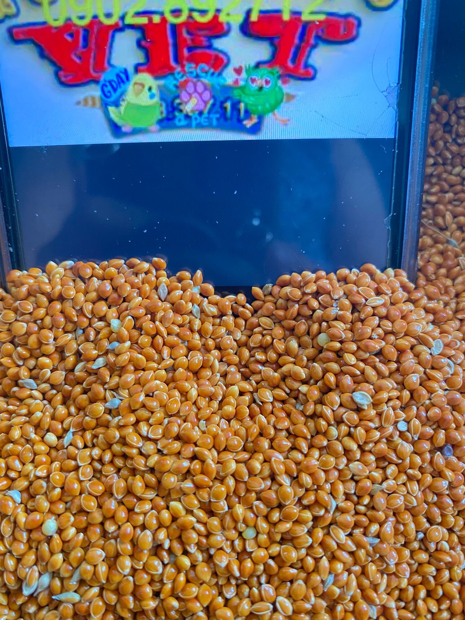 Hạt kê bóng đỏ to gói 1kg