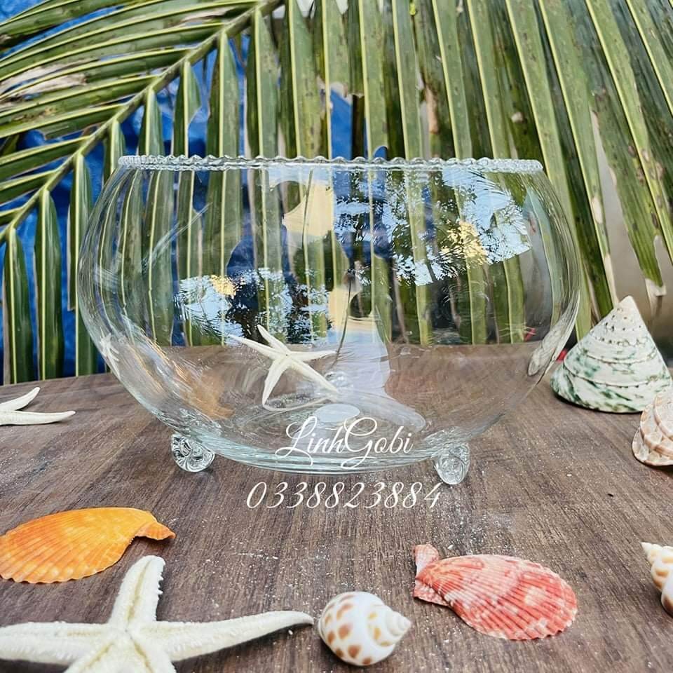 Bể cá thủy tinh CÓ CHÂN mini để bàn miệng răng cưa cỡ 21 cm