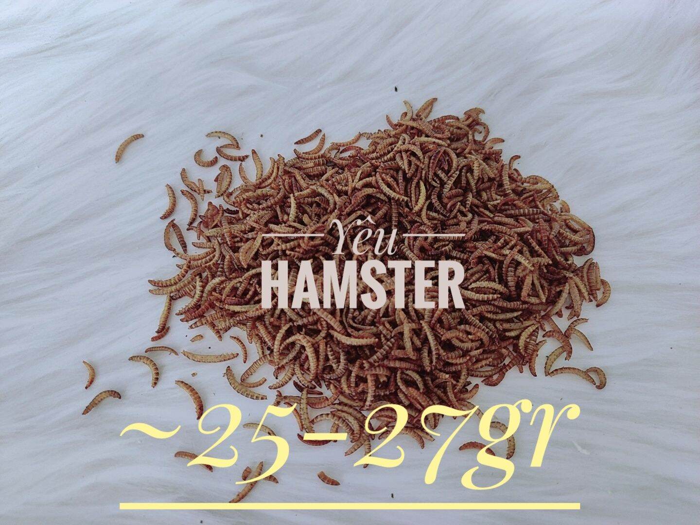 25G- Sâu mini sấy khô - thức ăn cho Hamster, thú cưng, chim, sóc, nhím..