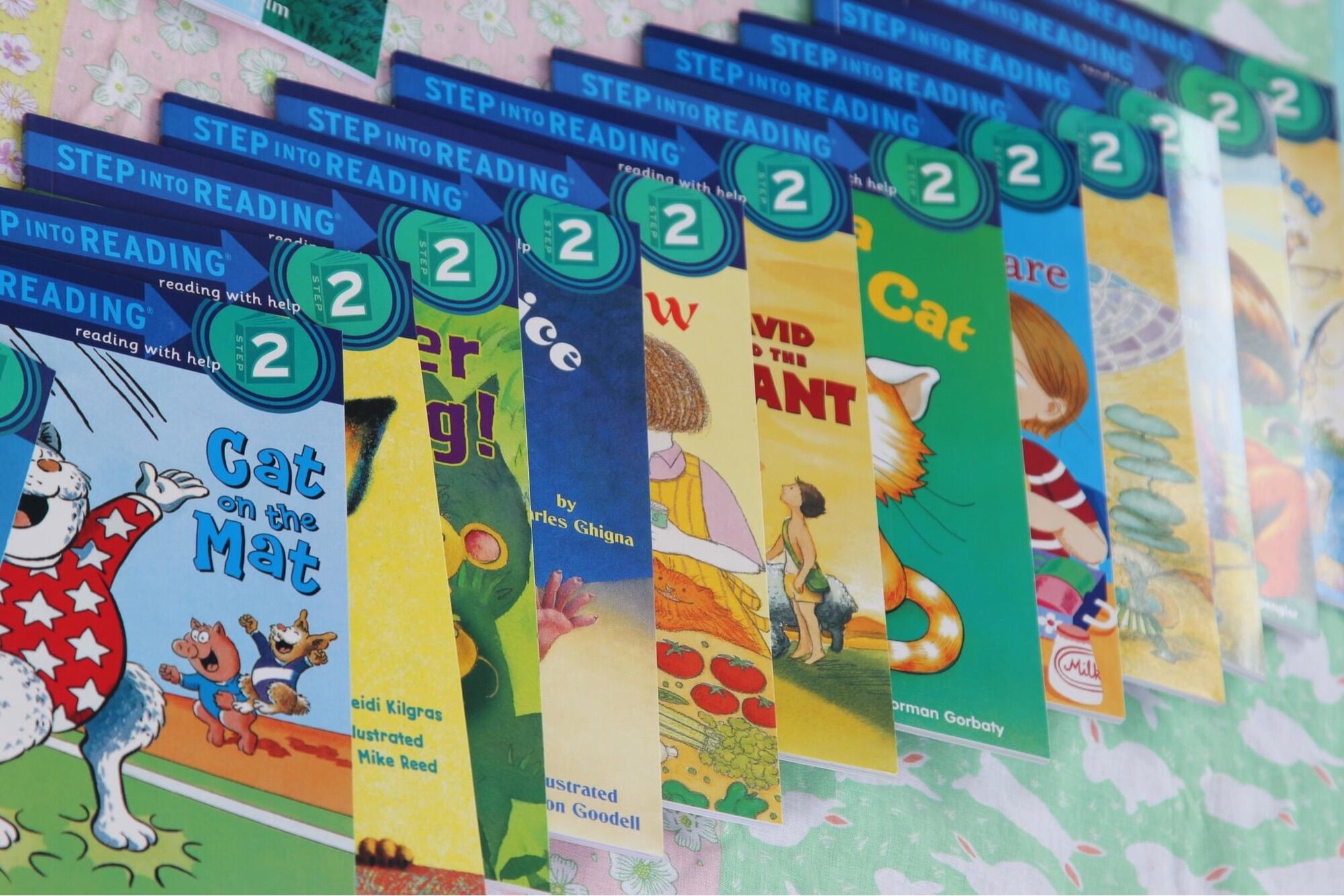 Step into reading level 2- nhập khẩu -30Q