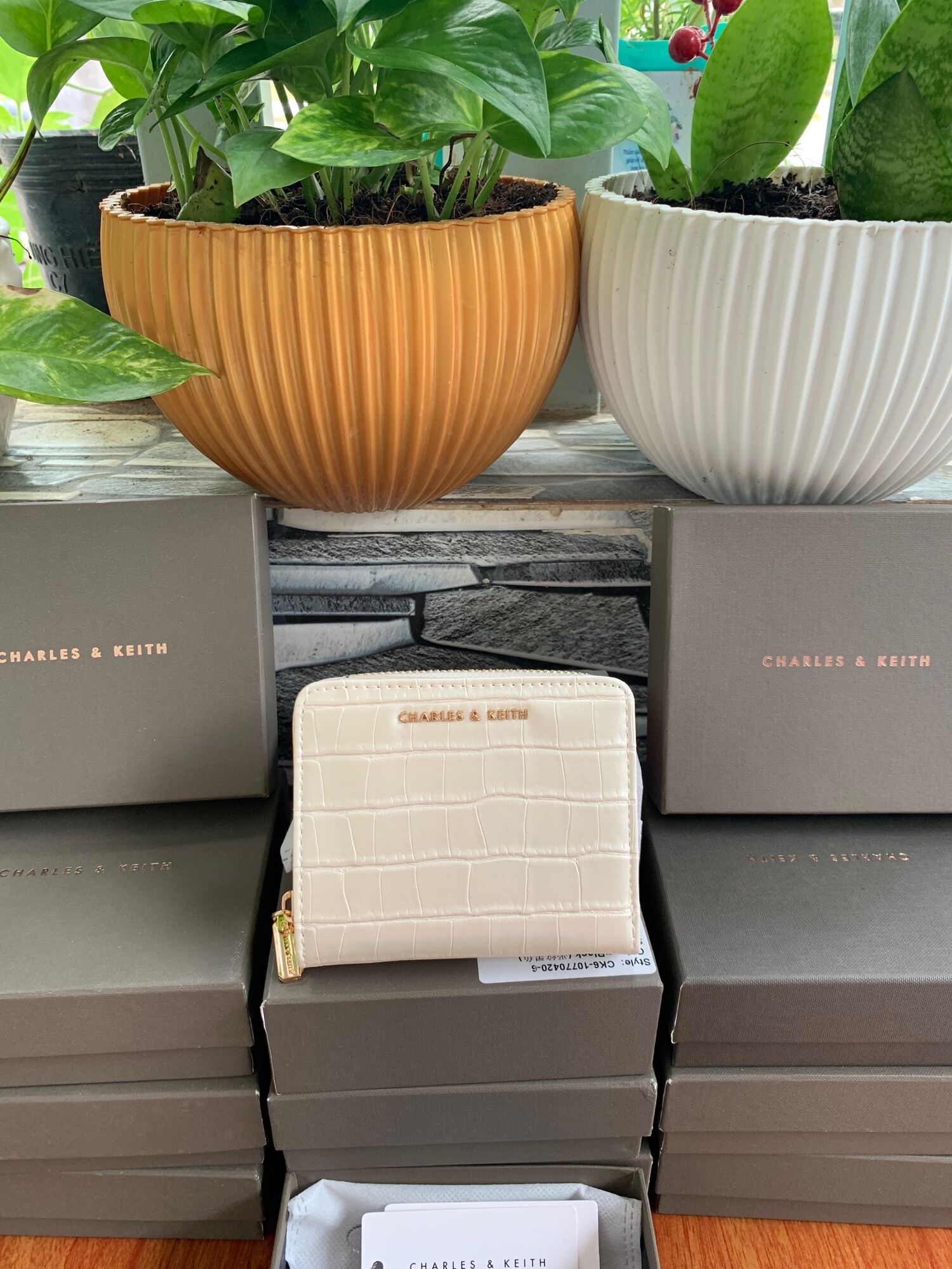 Ví charles & keith màu trắng kem