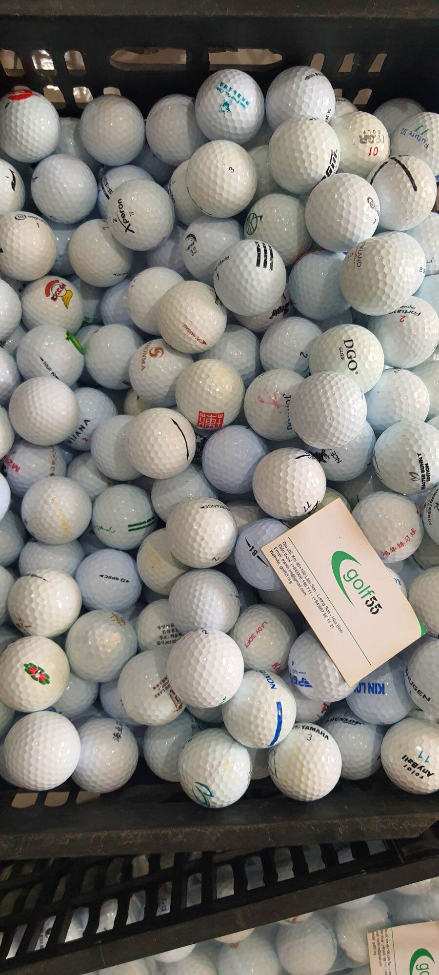 10 bóng golf tổng Hợp 80% 90%