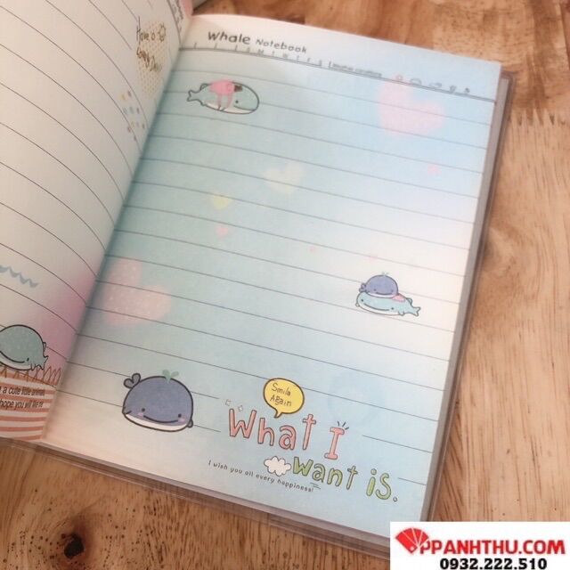 SỔ BÌA TRONG NHỎ GIẤY HÌNH