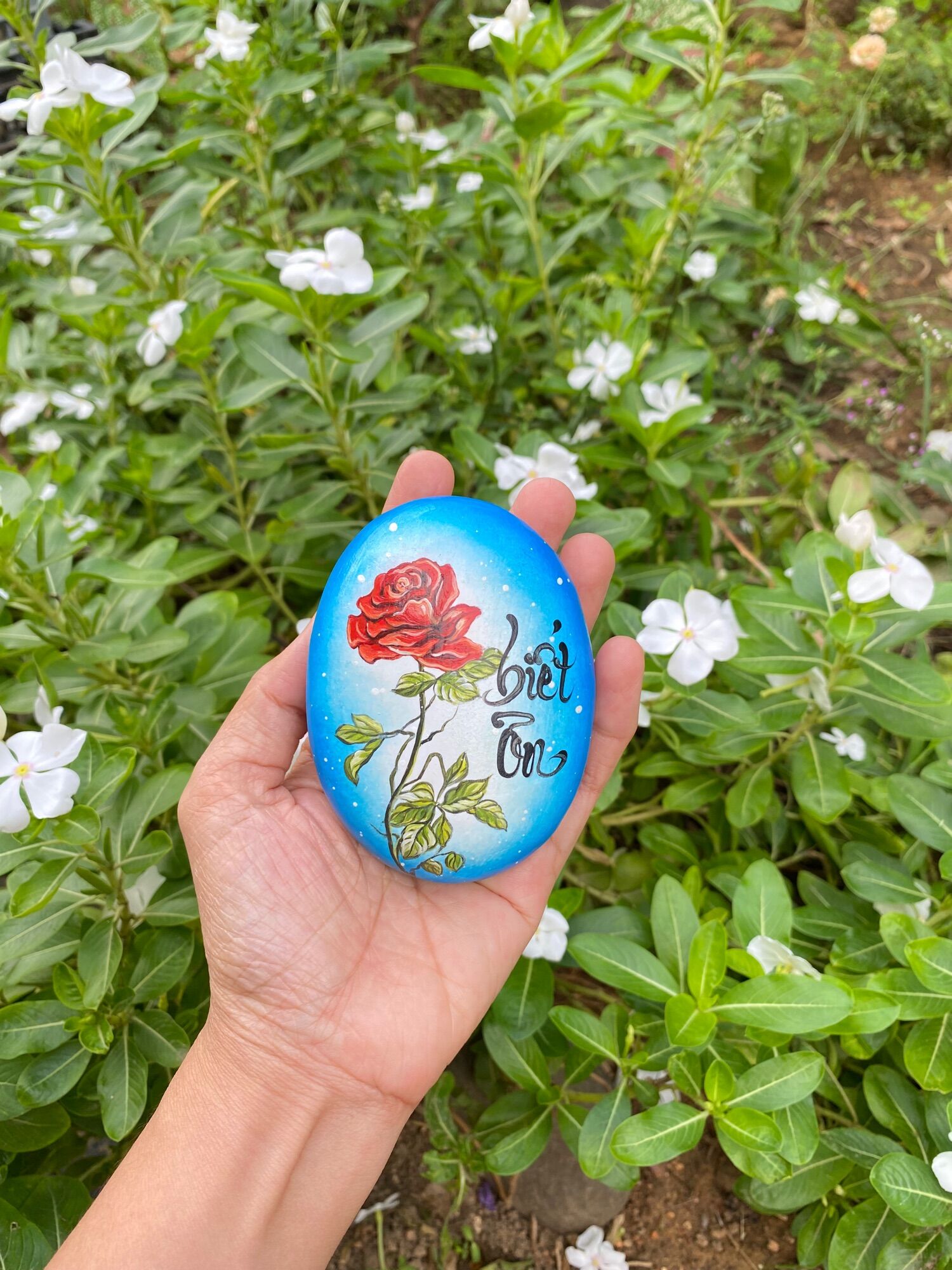Hòn đá biết ơn mẫu hoa hồng