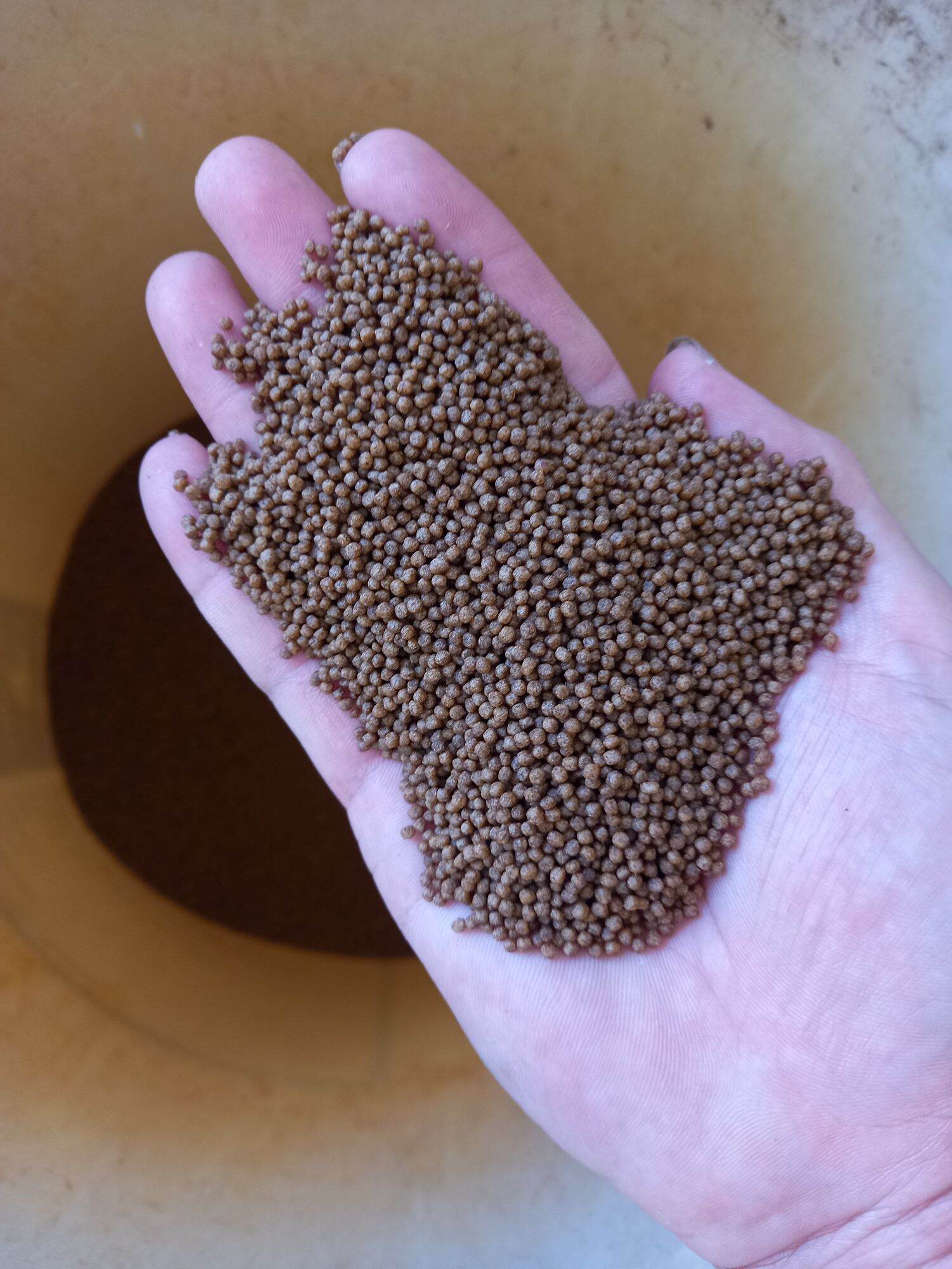 Thức ăn cá 3 đuôi, koi, chép, betta,7 màu loại 1.0 mm siêu đạm, siêu mịn 500 gram/ gói