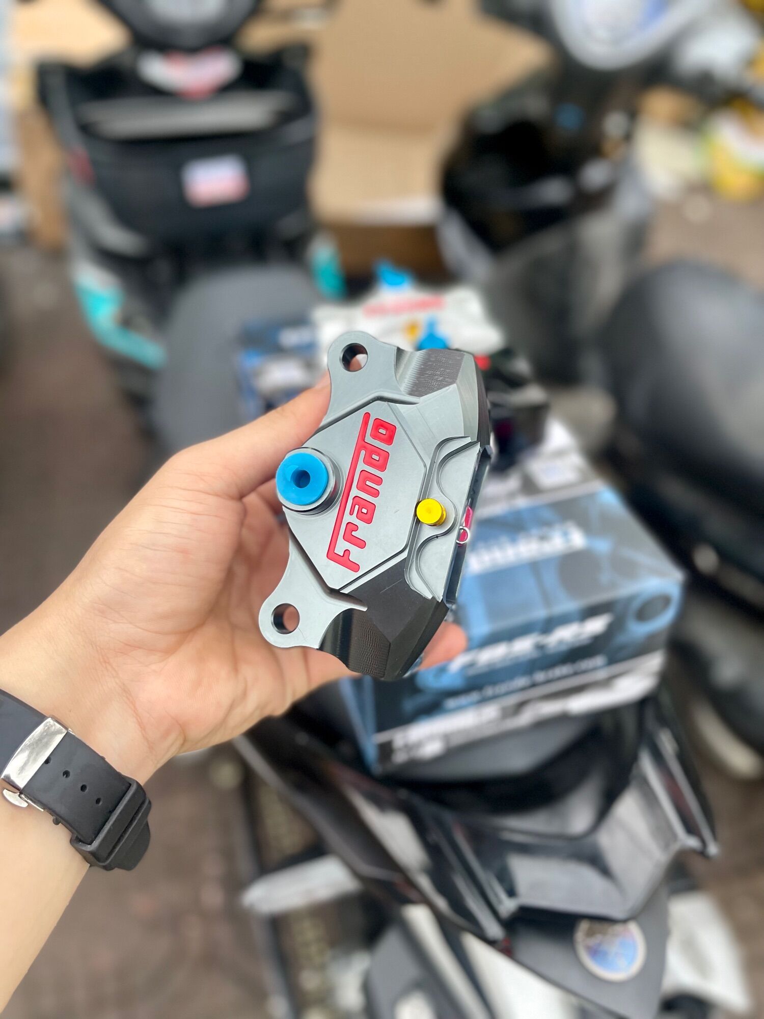 Heo Phanh Frando 2 Pis Đối Sứng