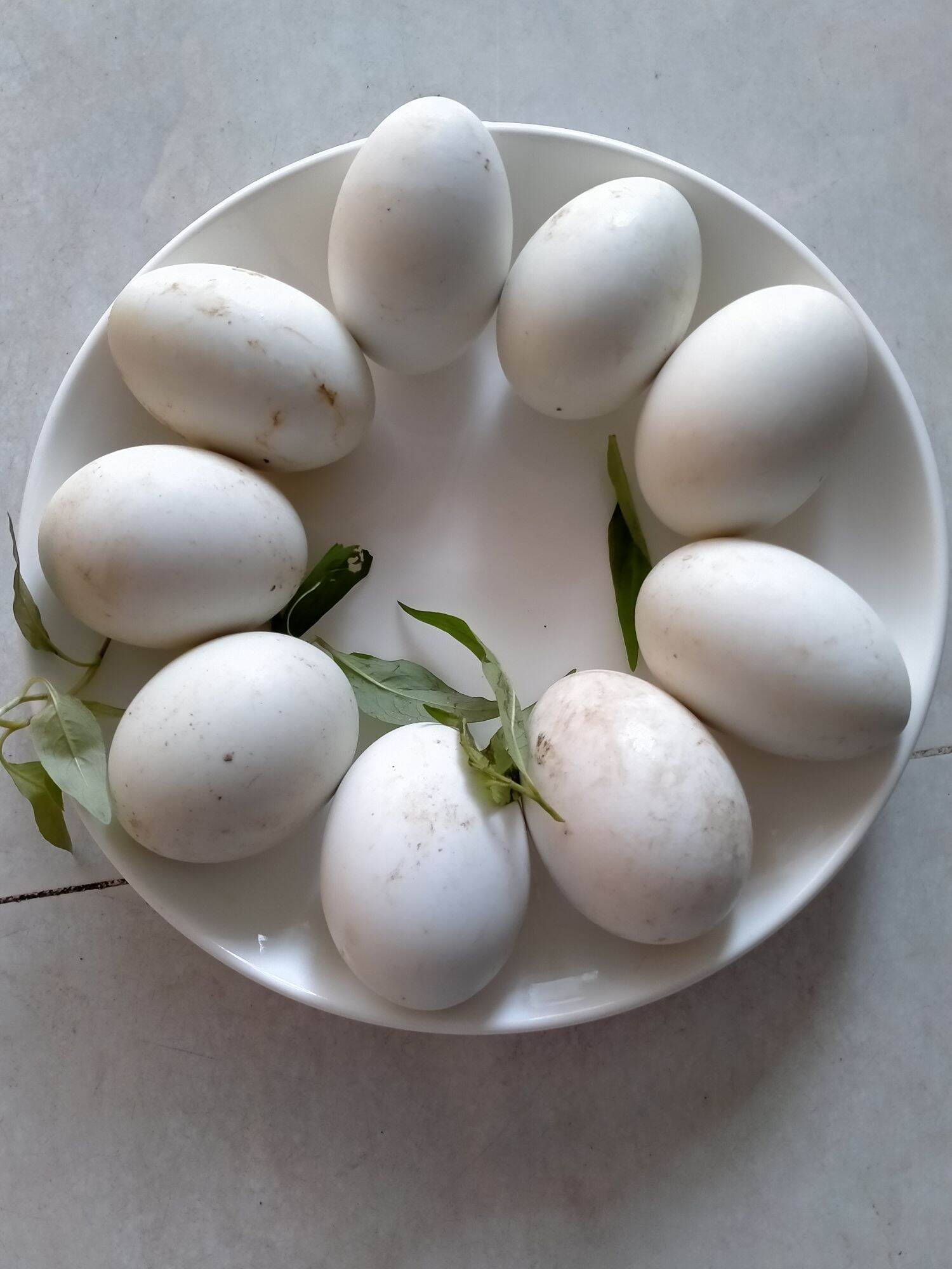 Trứng Vịt Lộn - Trứng | Vinmart.Co
