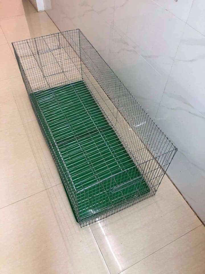 Lồng tập lực 50*m2 không khay chào mào chích chòe...