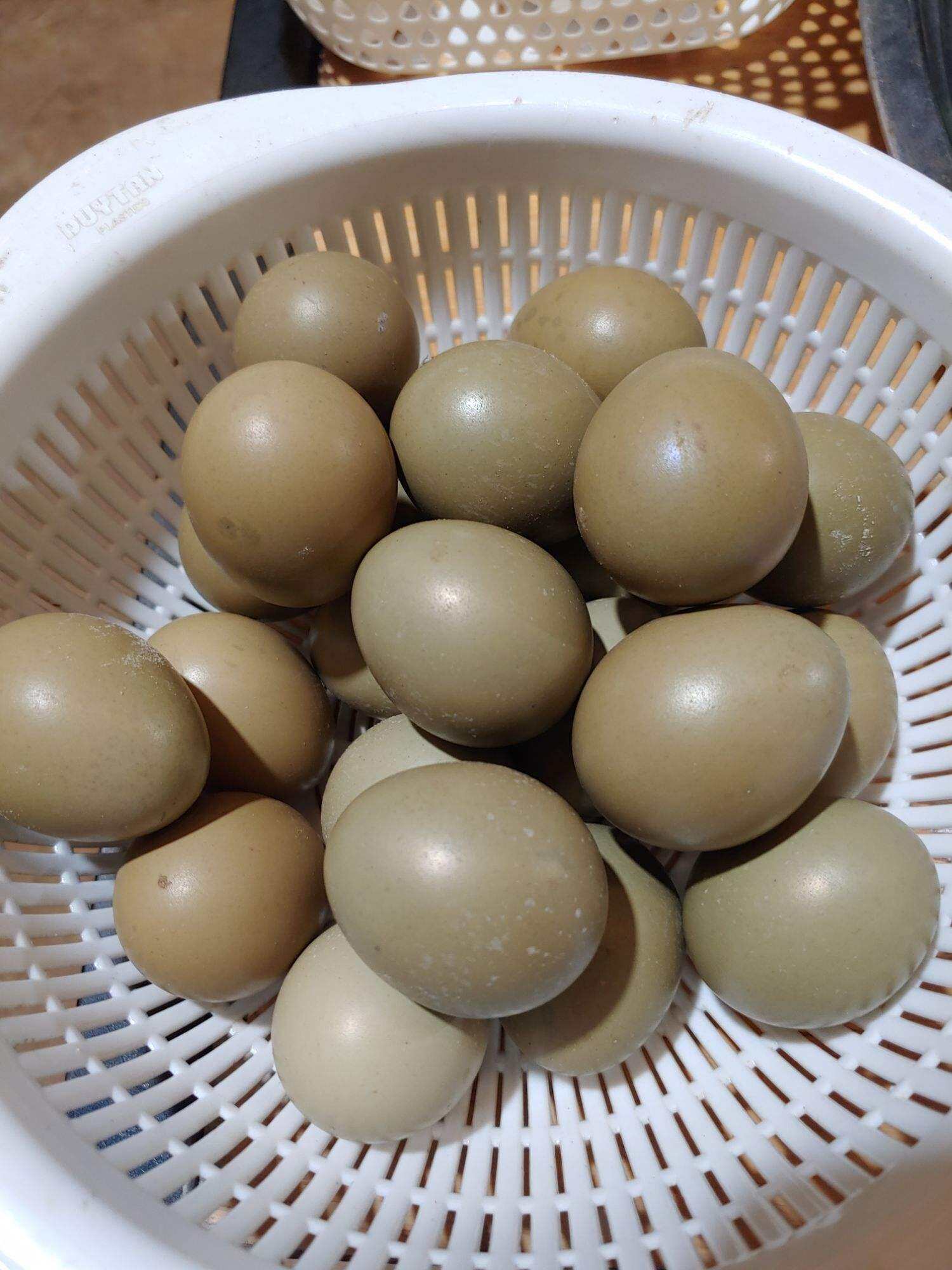 10 Trứng chim trĩ (trứng lạc, để ăn, không qua máy ấp, trứng không có trống, không thể ấp được)