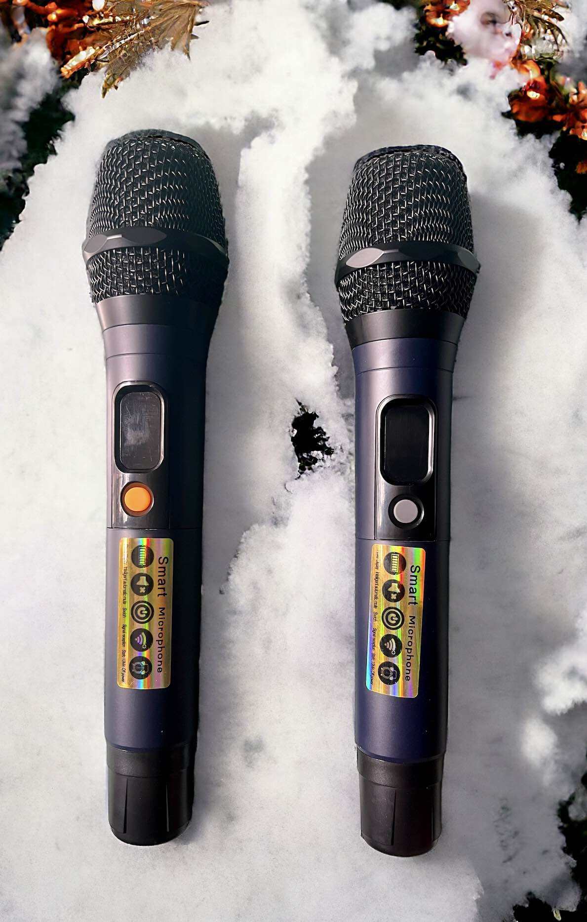 Micro Loa Kéo TT001 và TT002 Trang Bị Đầu Micro Chống hú Cao Cấp Cho Âm Bass Âm Treble Đầy Đủ