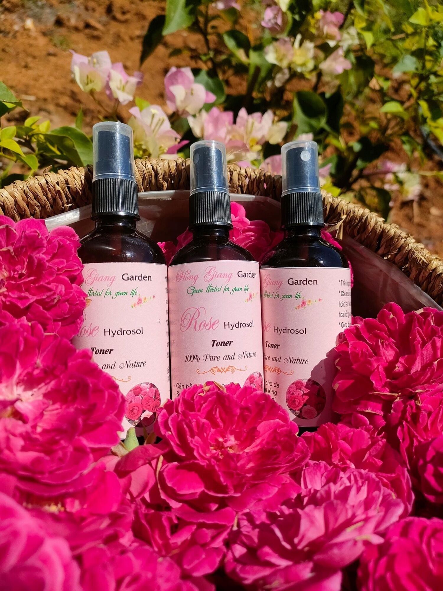 Toner Hoa Hồng Dưỡng Trắng