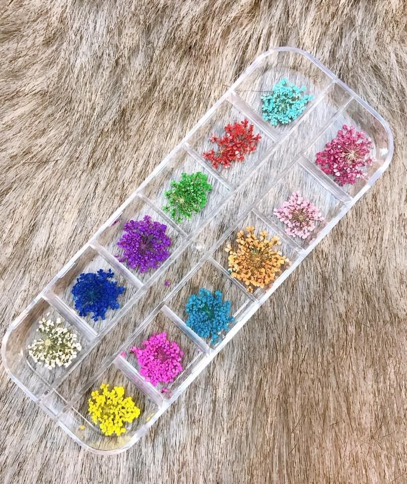 Hoa khô nail, hoa khô ẩn móng