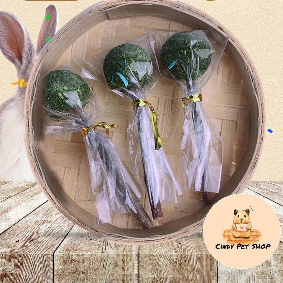 Que cỏ cành táo ăn dặm cho thỏ, bọ ú, sóc bắc mỹ...