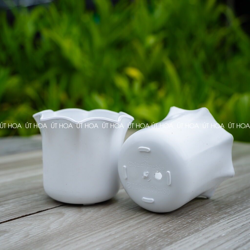 Chậu mini miệng bèo dày dặn, trồng sen đá, hoa kiểng