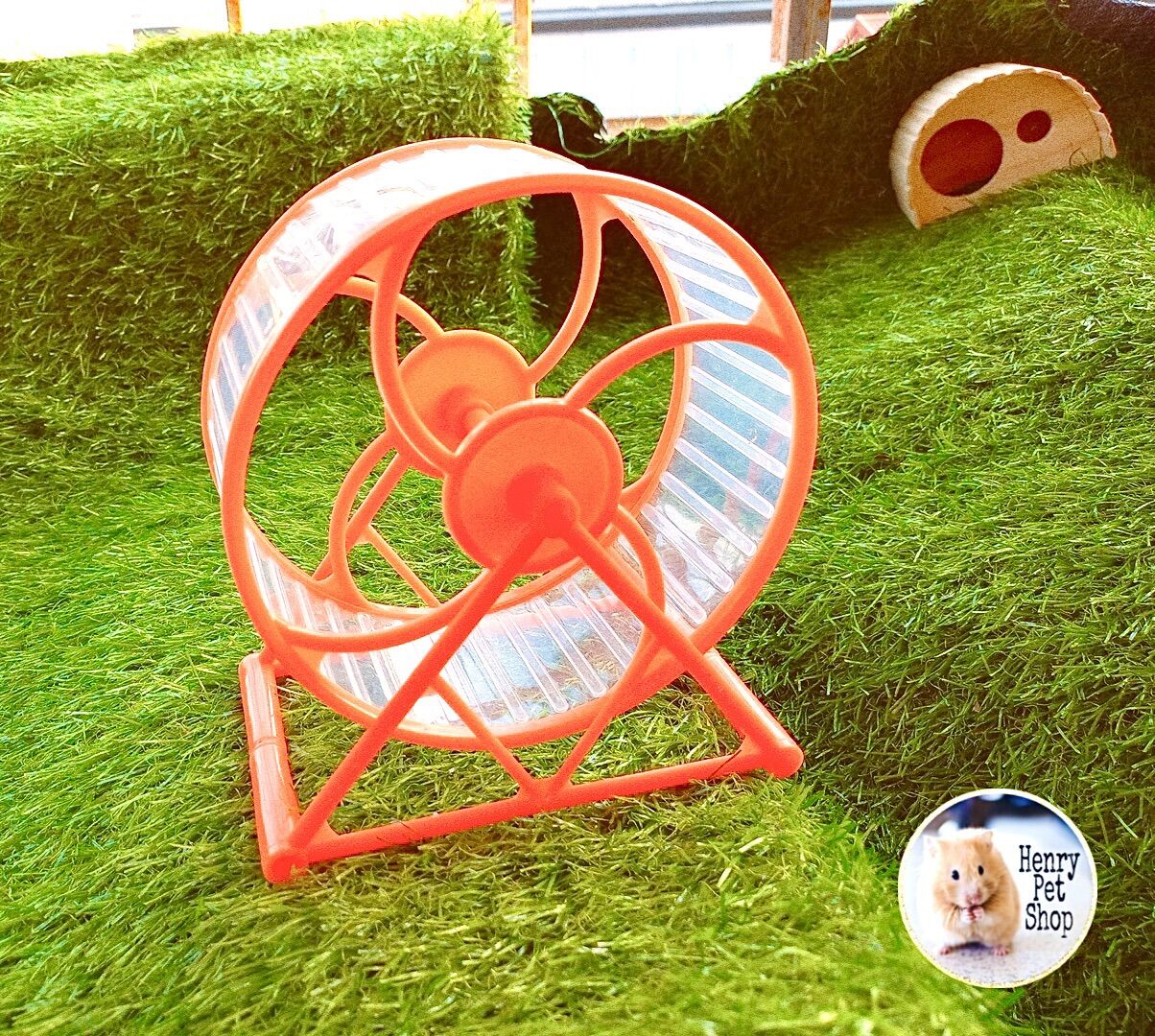 Wheel tesoro 15cm cho Hamster