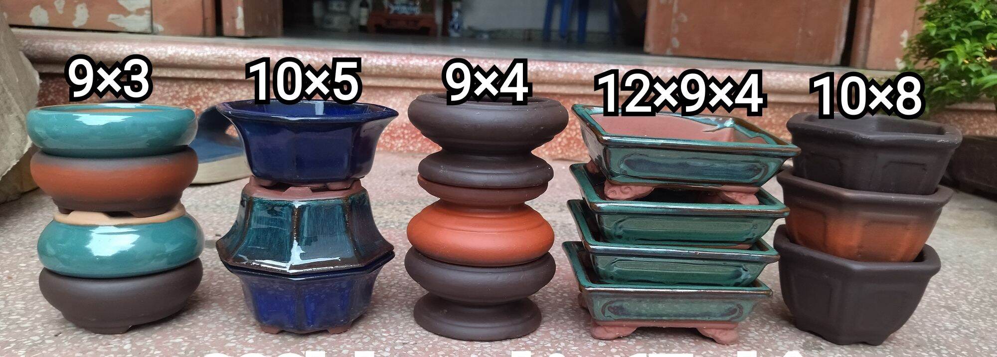 Combo 17 chậu mini trồng sen đá, bonsai