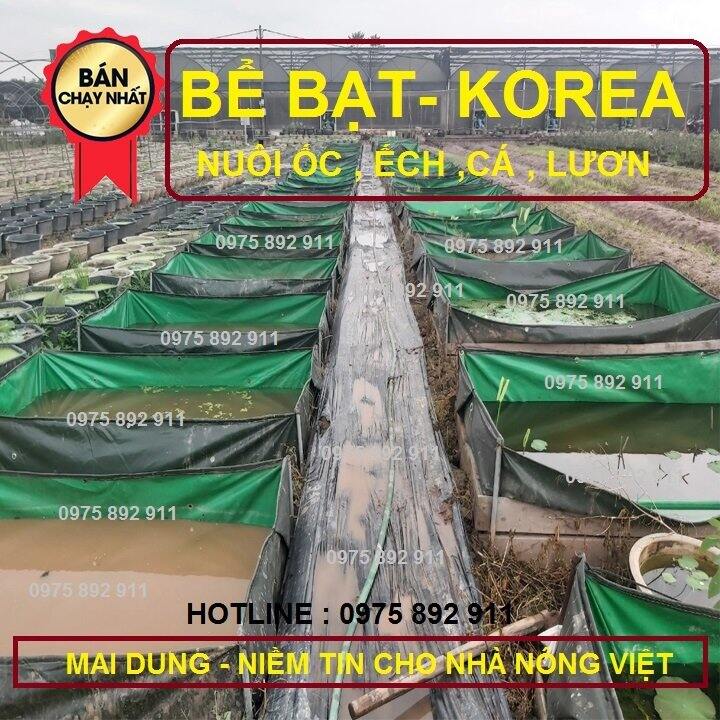 Bể bạt nuôi ốc , ếch cá , xanh bộ đội