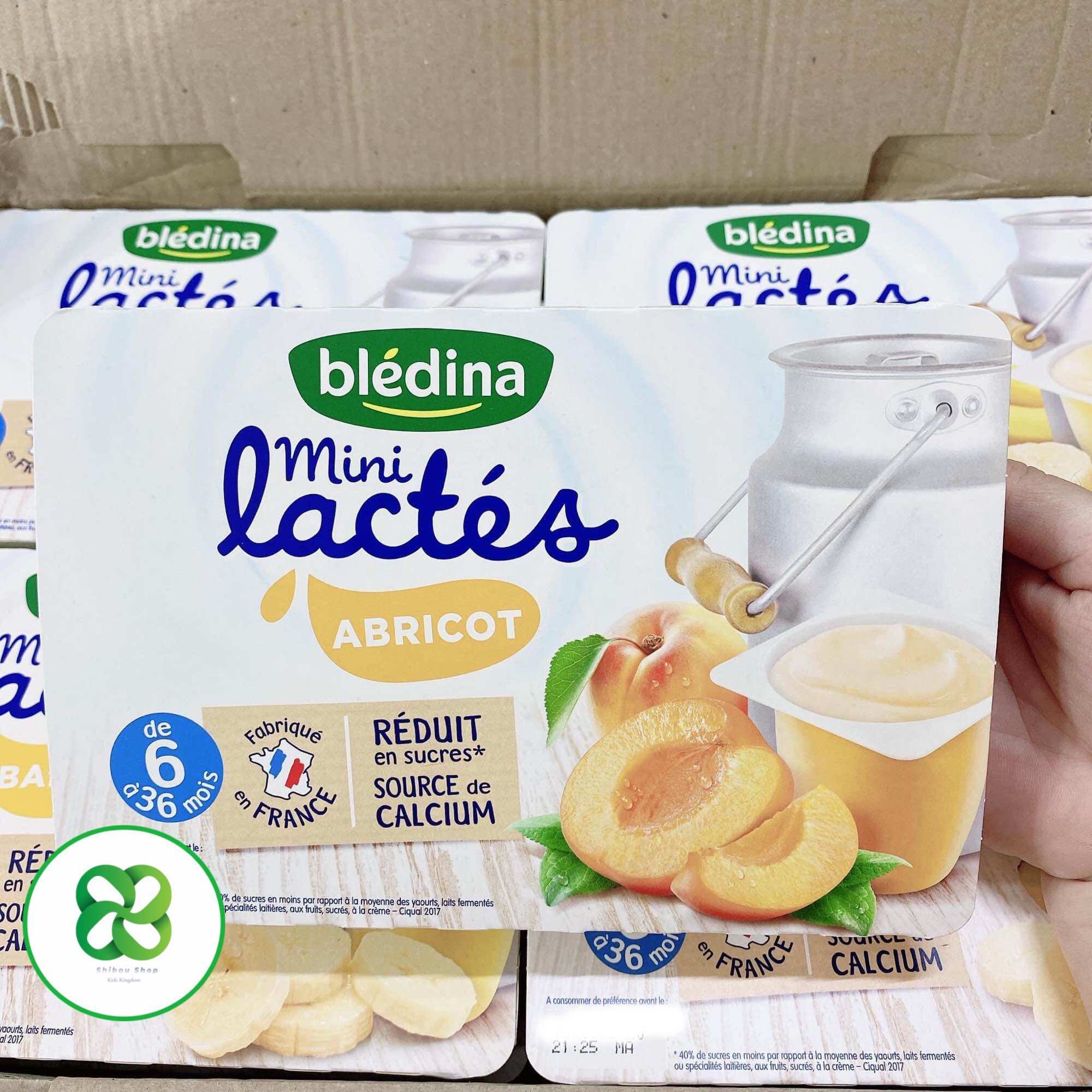SỮA CHUA BLEDINA MINI LACTES NHIỀU VỊ