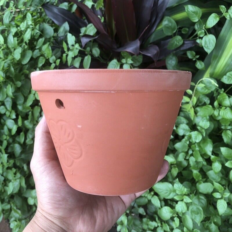 Chậu đất nung đủ sz