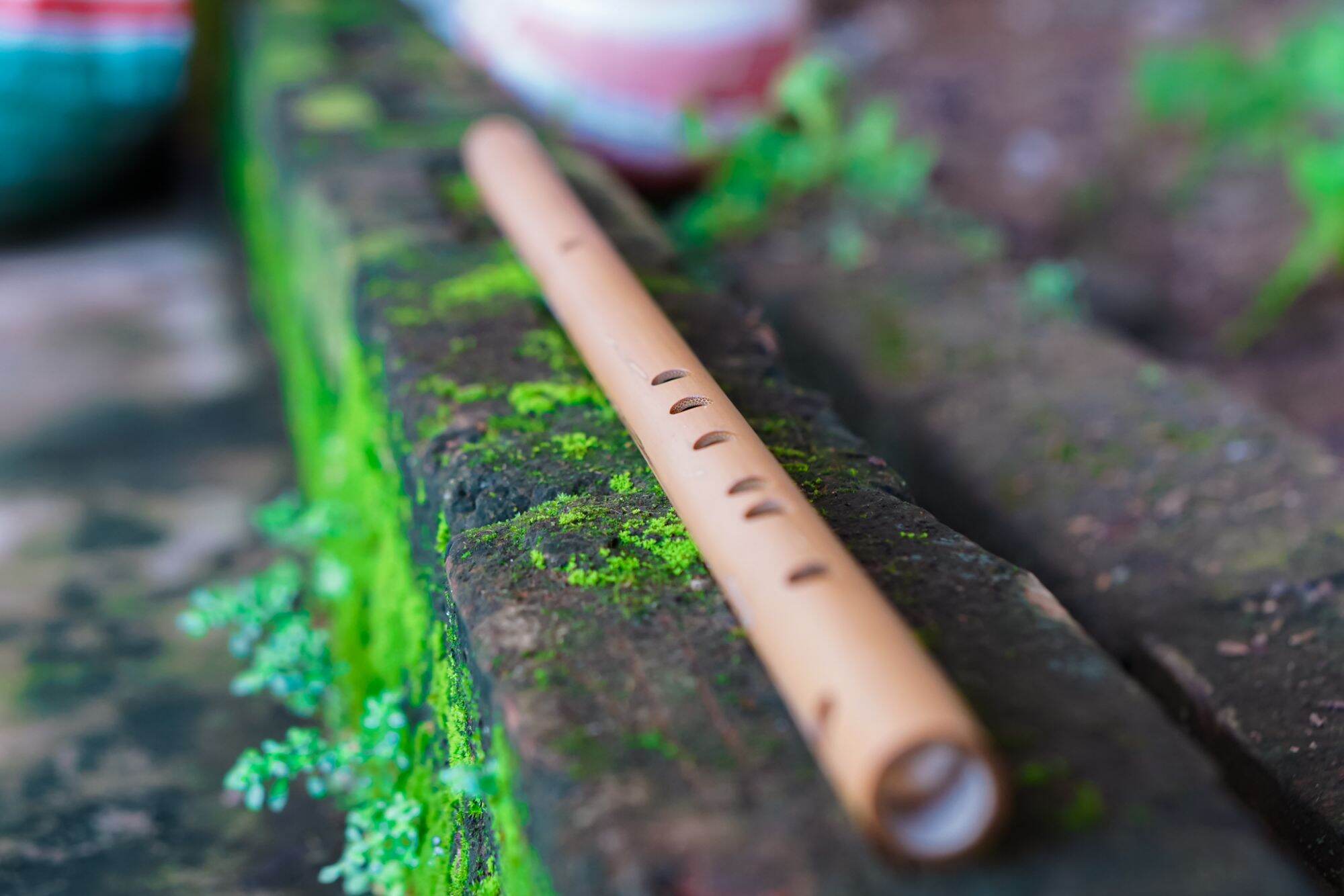 sáo trúc tone si giáng ( Bb4 ) nứa bắc