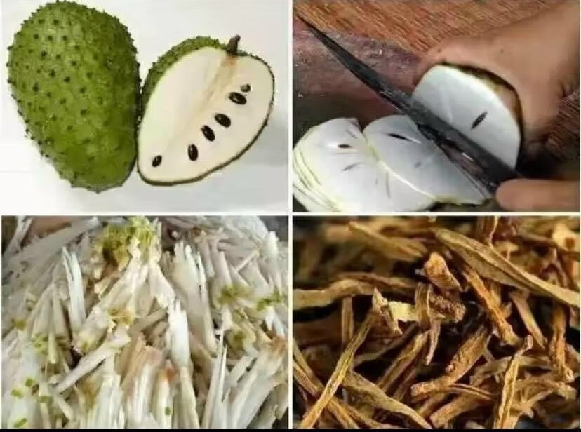 Trà mãng cầu xiêm túi lọc