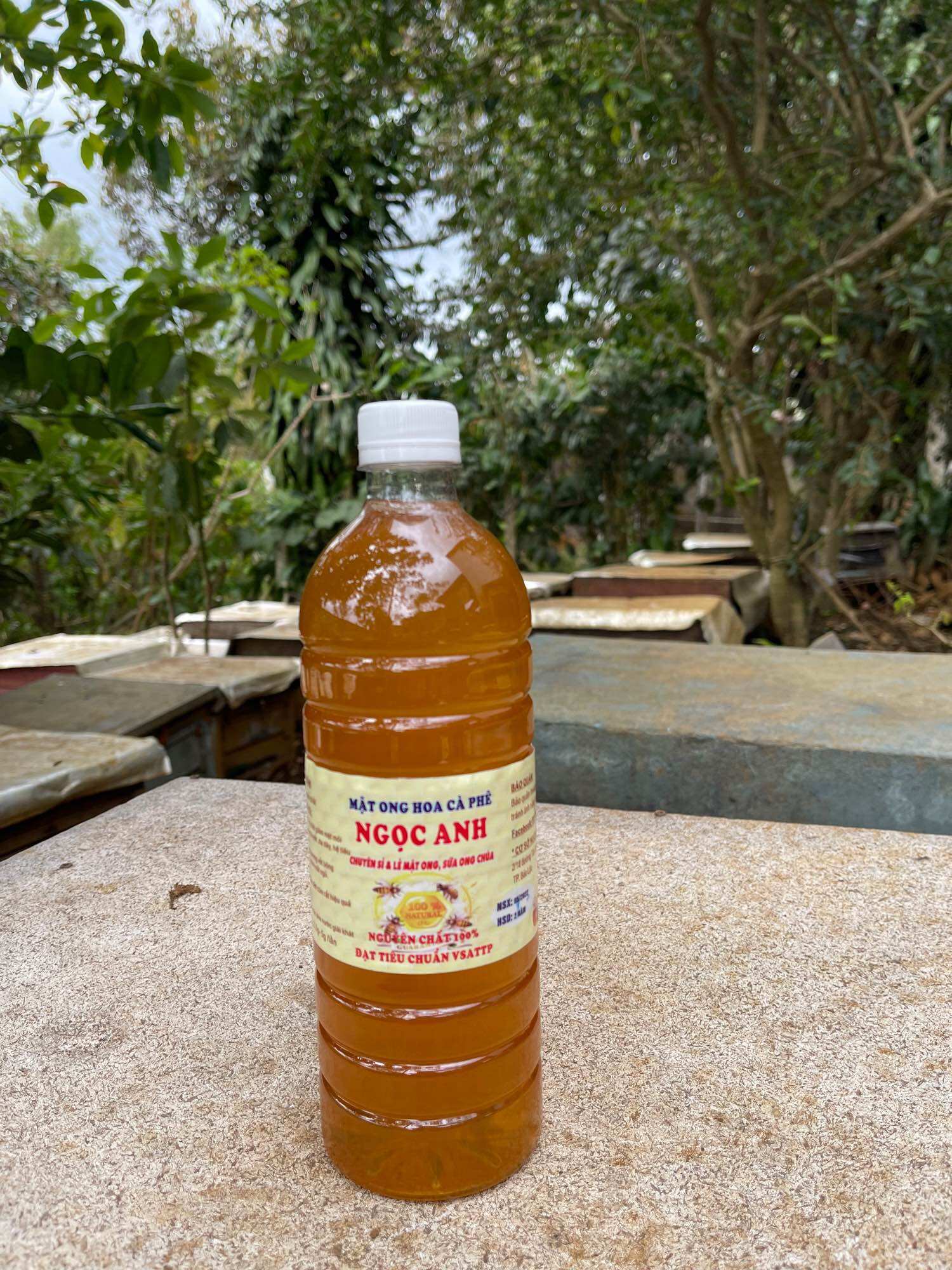 1lít mật ong hoa cà phê bảo lộc