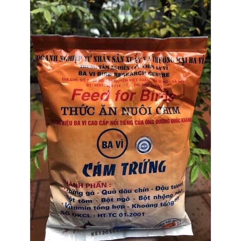 Cám trứng cho chim