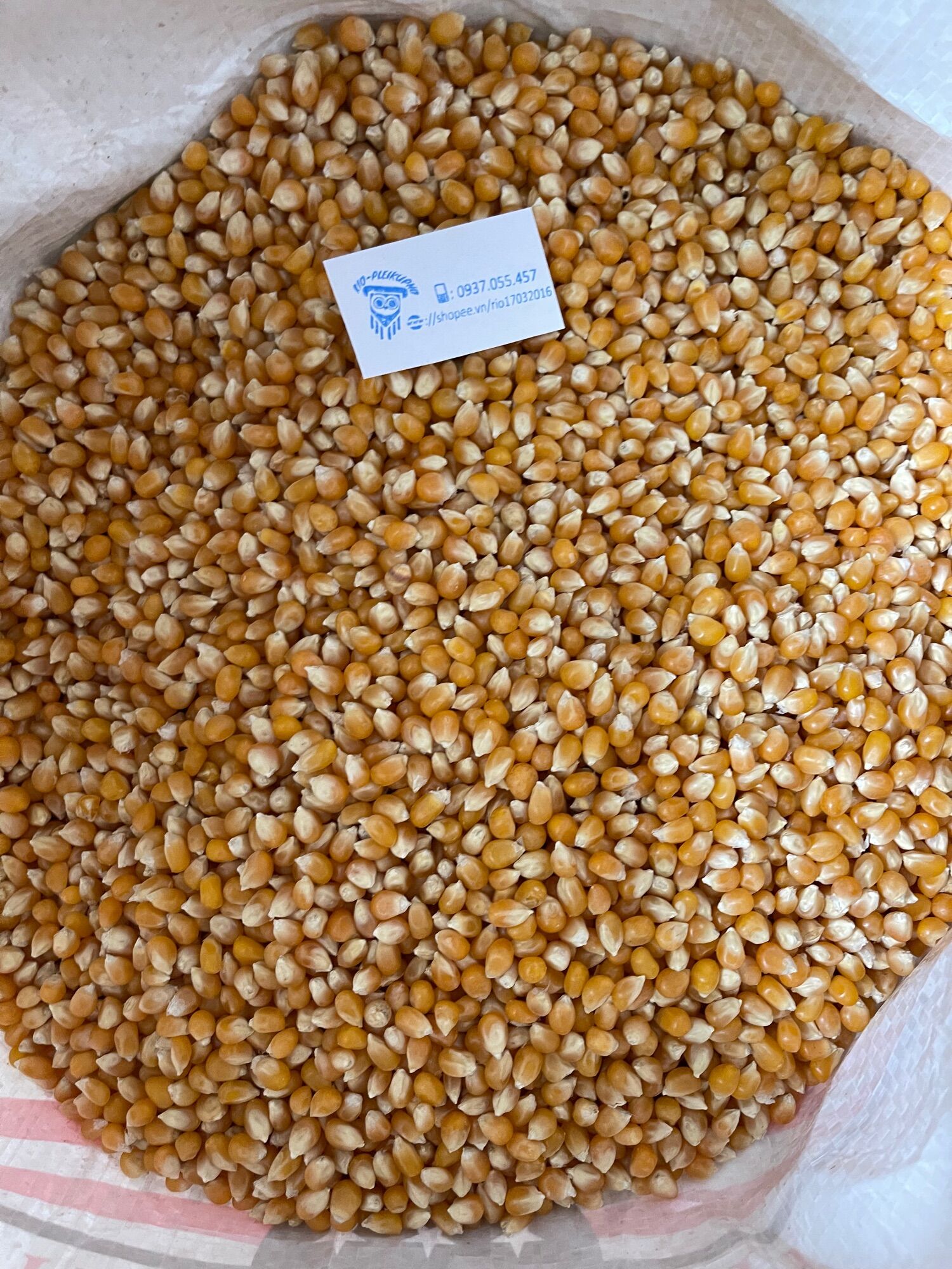 500gr bắp hạt làm bắp rang bơ