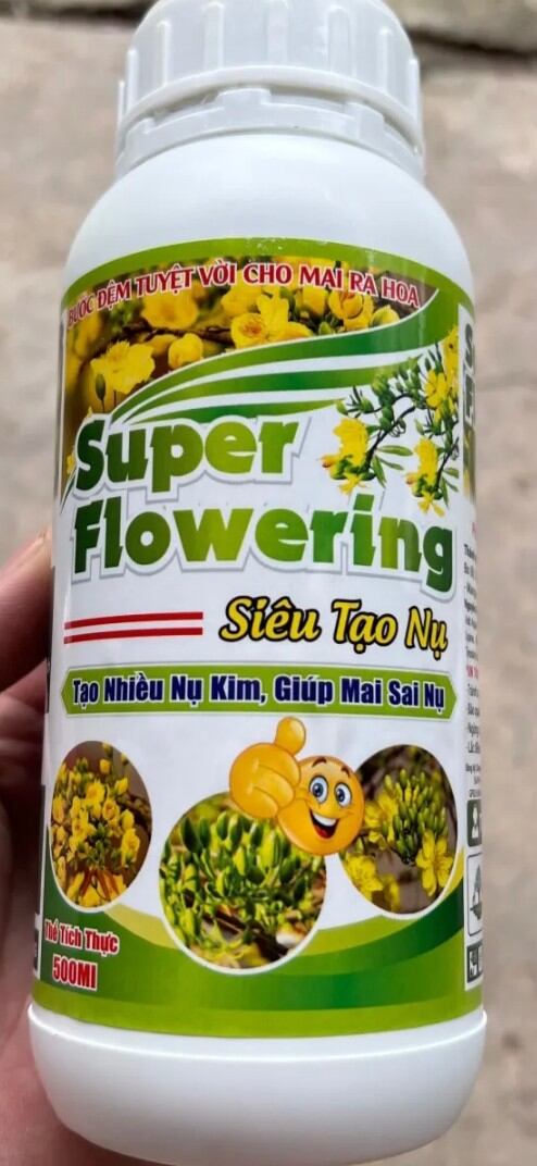 Phân bón kích ra hoa tạo mầm hoa,siêu tạo nụ cho mai vàng
