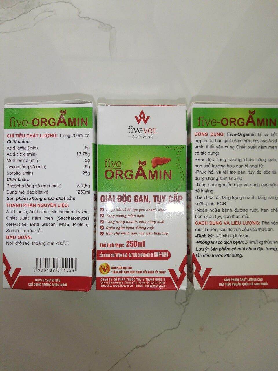 Giải đọc gan tụy
